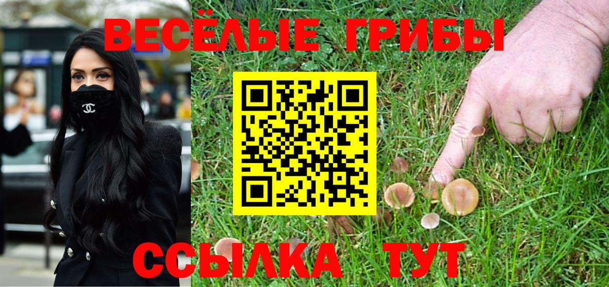 Крымск  Псилоцибиновые грибы мицелий  Вход с VPN 